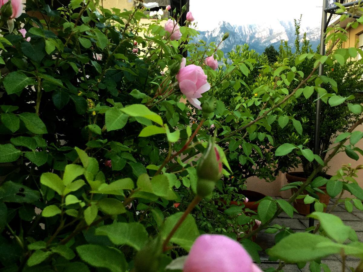 B&B Pescarenico Lecco Eksteriør billede